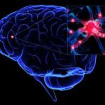 Traumatic Brain Injury: Listening to the symptoms