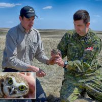 Graham Dixon-MacCallum (left) and Lieutenant-Colonel Mike Onieu, Base Commander (right), release the first burrowing owl into the CFB Suffield National Wildlife Area on May 3 as part of a new head-starting project to help this endangered species. Photo by Warrant Officer Derrick Steeves