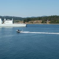 Photo by LS Sisi Xu, MARPAC Imaging Services