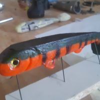 Sailor lures in the ones that got away