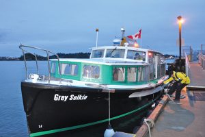 photo by A/SLt MacDougall, BPAO Trainee Harbour ferry Grey Selkie
