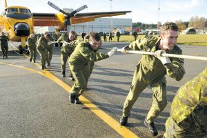 19 Wing Buffalo plane pull