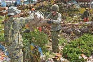 DART combat engineers clean up typhoon debris