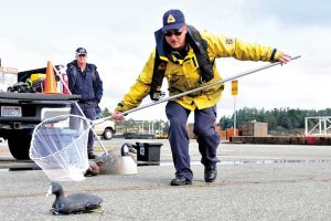 Ken Cawley oiled animal rescue course