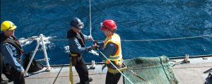 Crewmembers of Her Majesty’s Canadian Ship (HMCS) Toronto haul in the cable for the fuel line during the Replenishment At Sea (RAS) with the French supply ship Marne A630 on October 17, 2014 during Operation REASSURANCE in the Mediterranean Sea. 