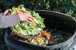 Organic waste base collects