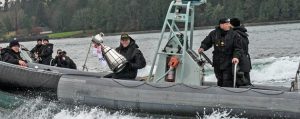 grey cup delivered by ribb
