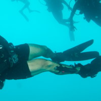 Inspecting the hull