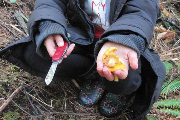 ly AgShowing off an aric mushroom they picked 