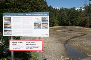 Image of Dunn’s Nook Fish Habitat project, taken at F Jetty, CFB Esquimalt. Photo by LS Ogle Henry, MARPAC Imaging Services