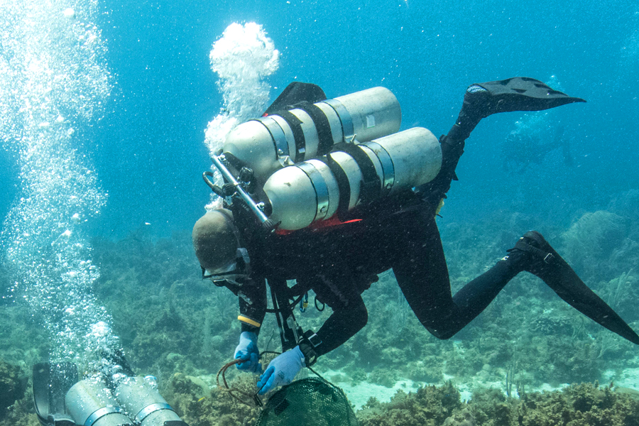 Caribbean divers cut ropes while executing a bottom cleanup during Exercise Tradewinds 16 in Discovery Bay, Jamaica.