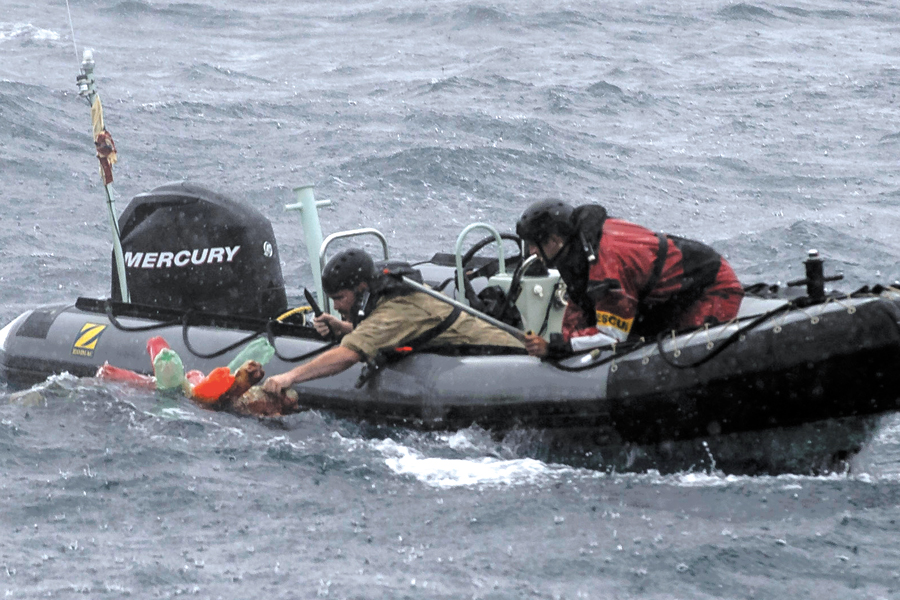 Members of HMCS Nanaimo rescue sea turtles entangled in a fishing buoy during Operation Caribbe. Photo by MARPAC Imaging Services