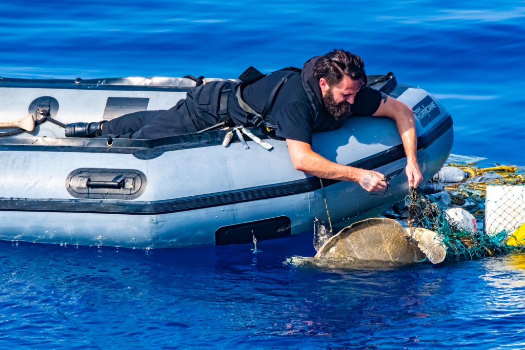 S1 Michael Sladic, a Boatswain aboard HMCS Calgary, untangles a sea turtle caught in fishing nets and garbage. Photo by Cpl Lynette Ai Dang, Imagery Technician