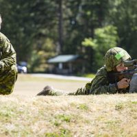 Training Ravens is personal for one Sonar Operator