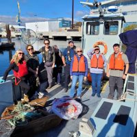 Defence Team gathers for harbour cleanup