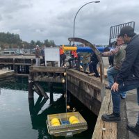 <strong>POESB offers oil spill response refresher</strong>