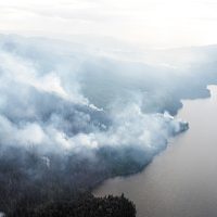 International Day of Forests highlights Canadian Rangers